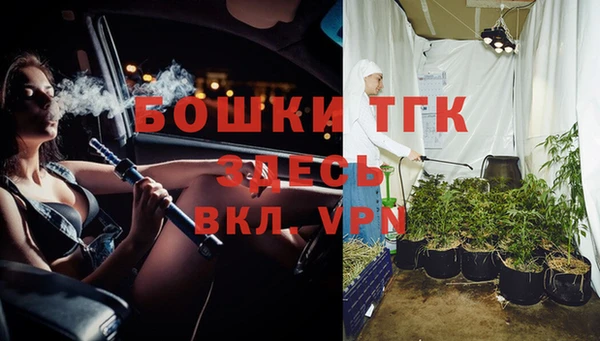 эйфоретик Белокуриха