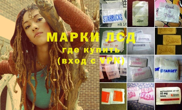 PSILOCYBIN Беломорск
