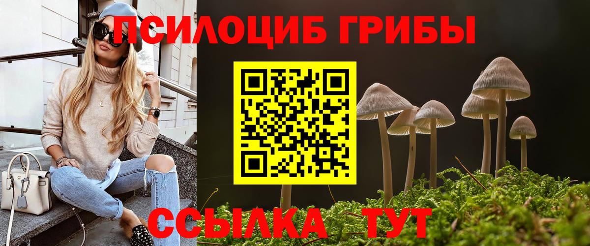 Псилоцибиновые грибы Psilocybe Лыткарино